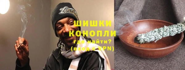 стаф Каменск-Шахтинский