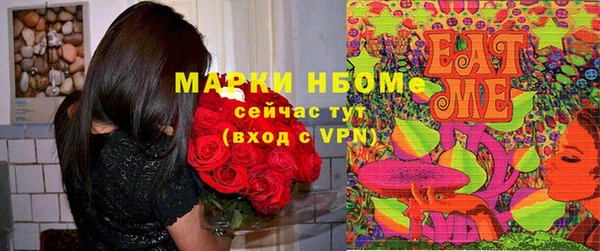 стаф Каменск-Шахтинский
