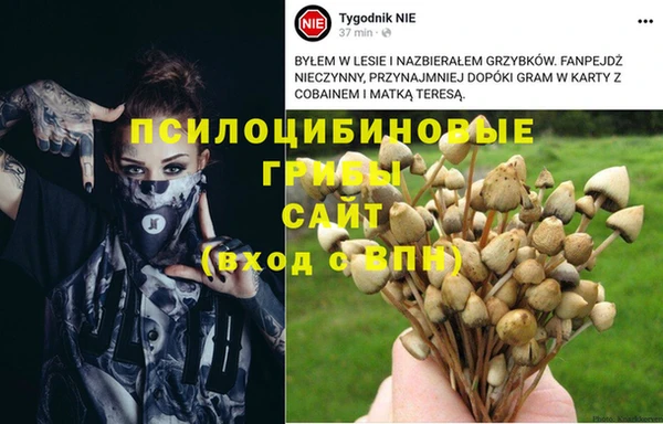 стаф Каменск-Шахтинский